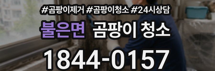 불은면 곰팡이 청소