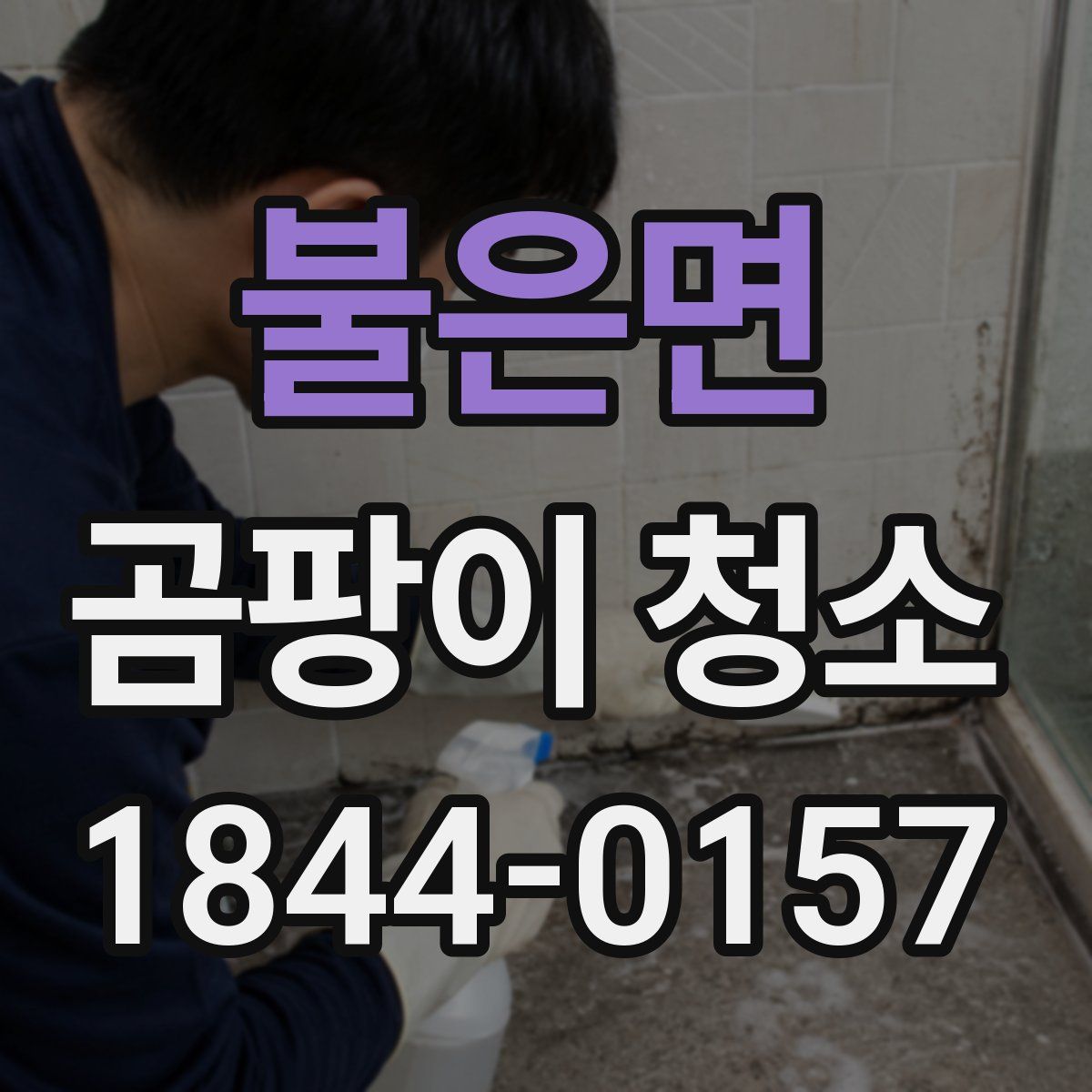 불은면 곰팡이 청소