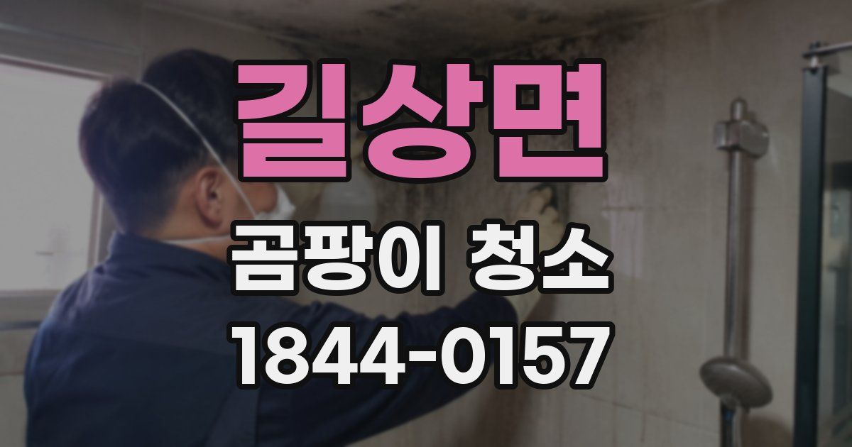 길상면 곰팡이 청소