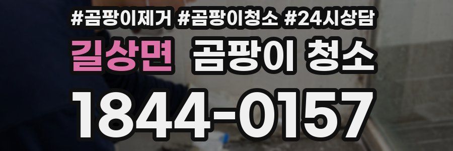 길상면 곰팡이 청소
