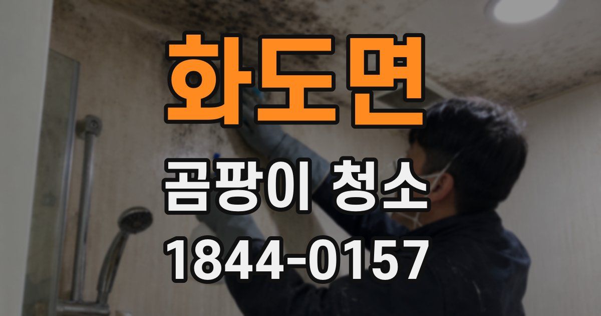 화도면 곰팡이 청소