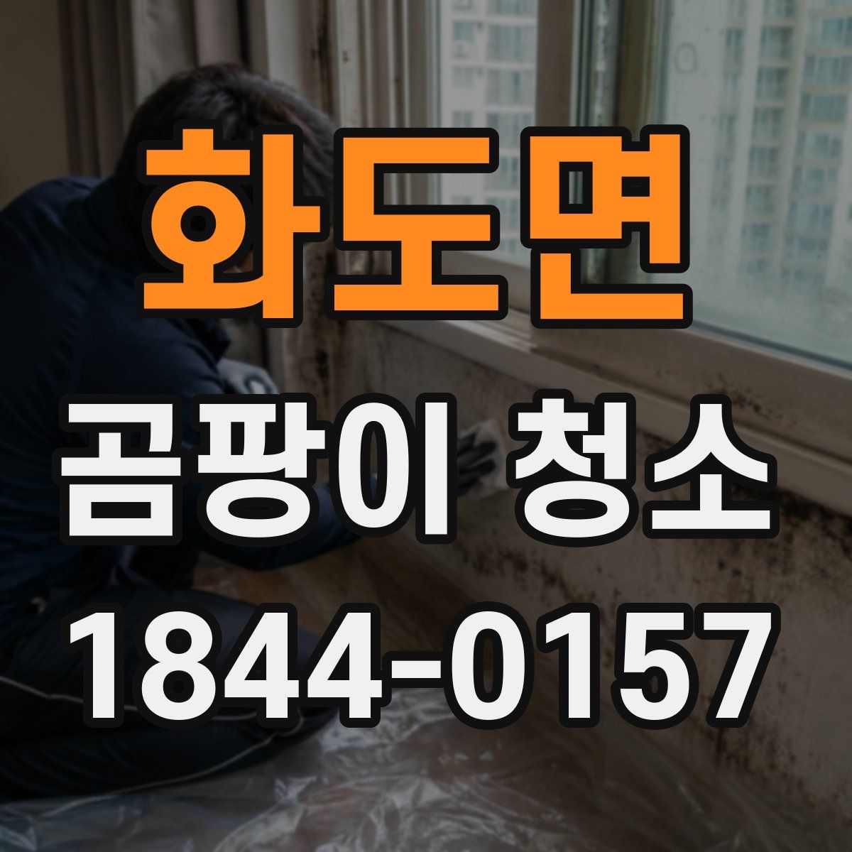 화도면 곰팡이 청소