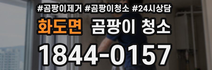 화도면 곰팡이 청소