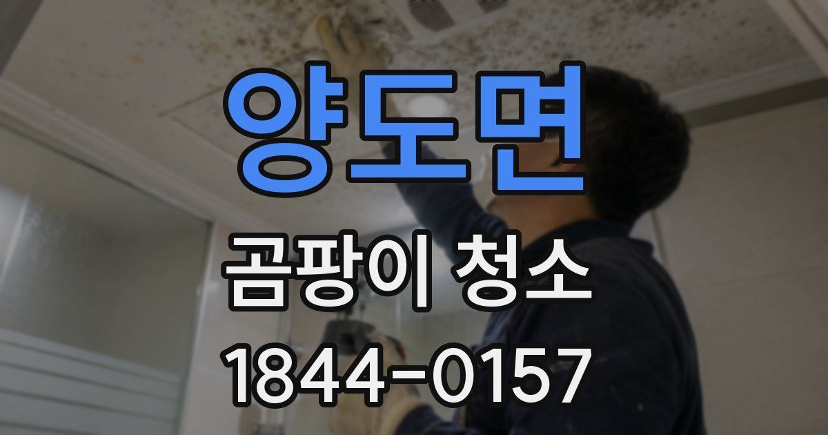 양도면 곰팡이 청소