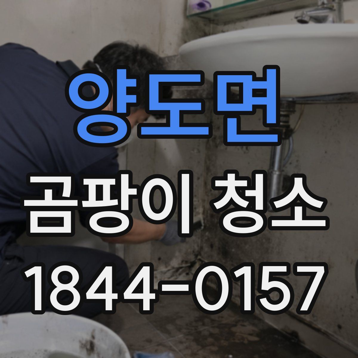 양도면 곰팡이 청소