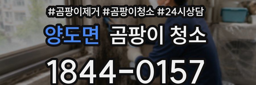 양도면 곰팡이 청소