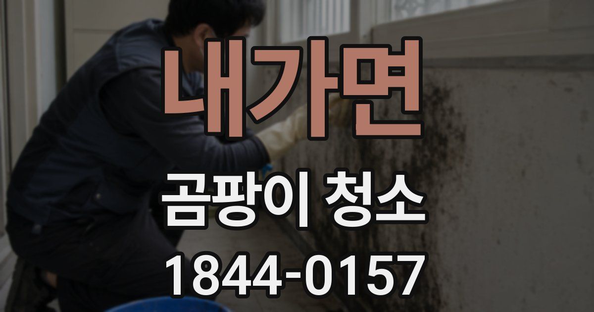 내가면 곰팡이 청소