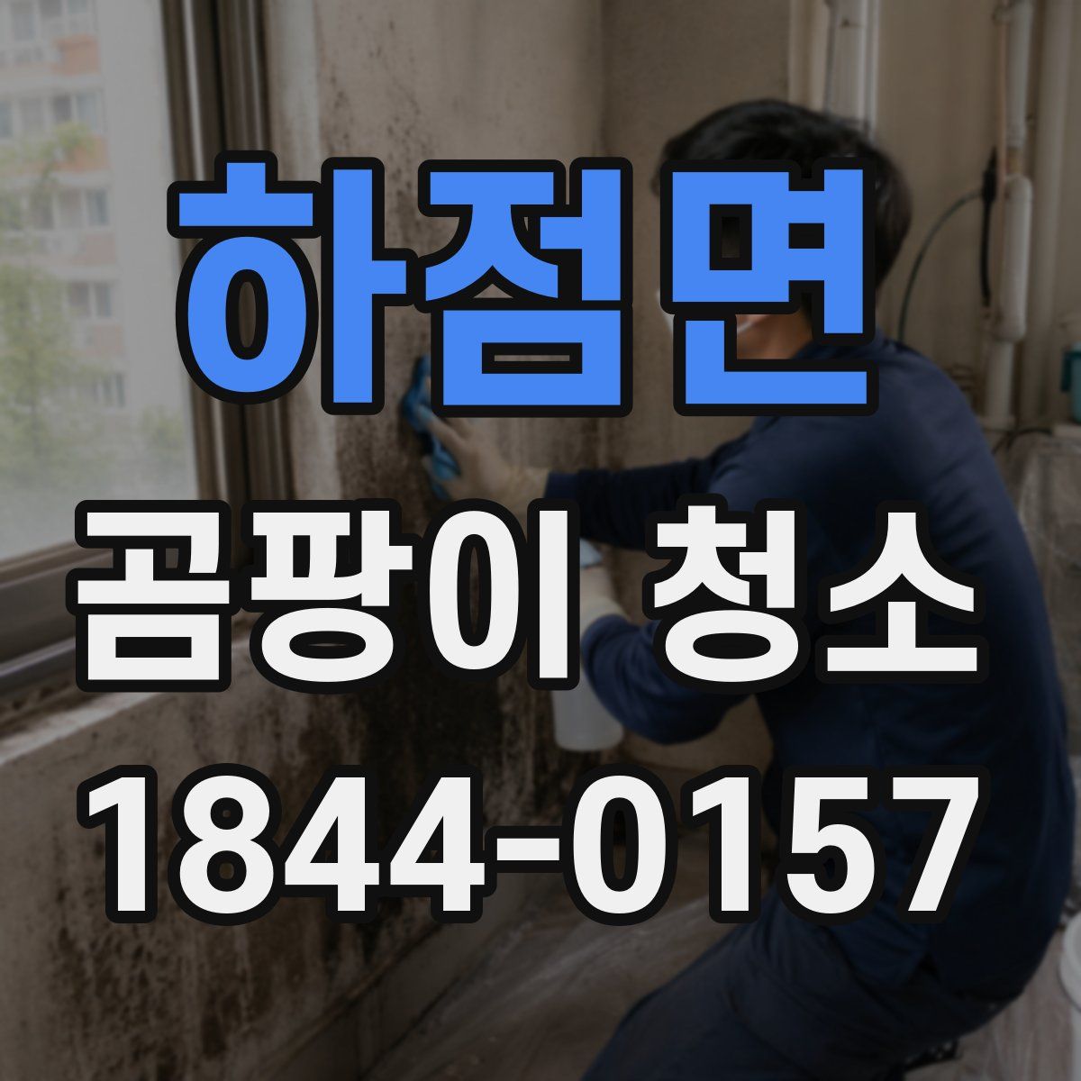 하점면 곰팡이 청소
