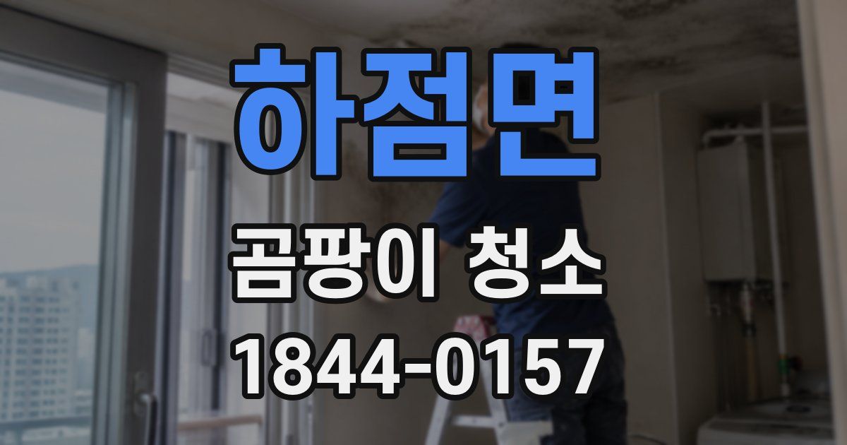 하점면 곰팡이 청소