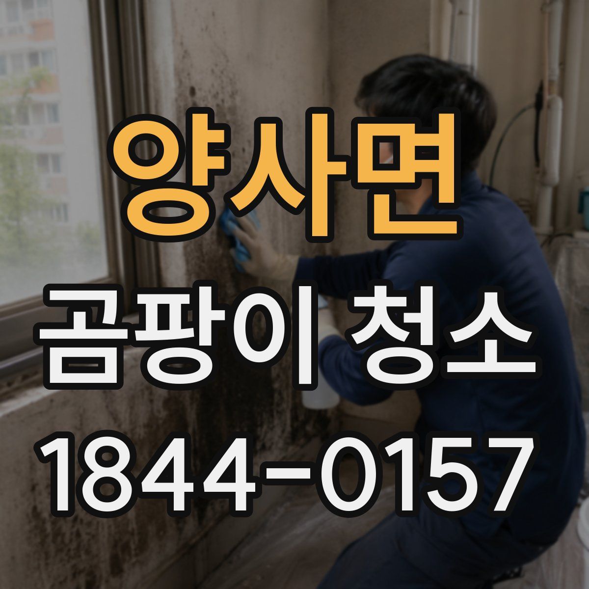 양사면 곰팡이 청소