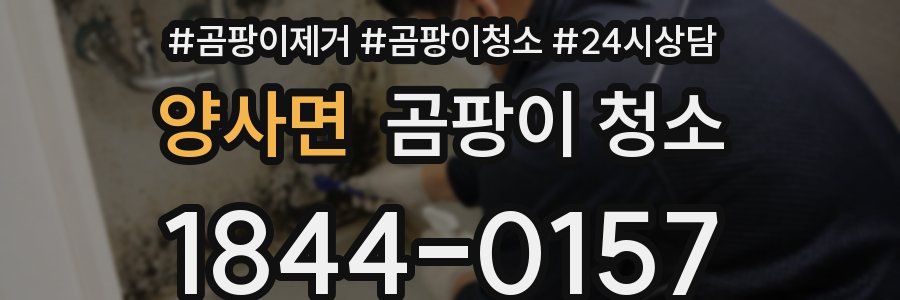 양사면 곰팡이 청소