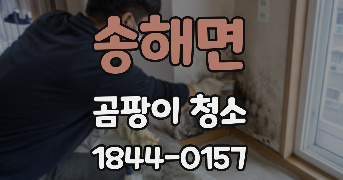 송해면 곰팡이 청소