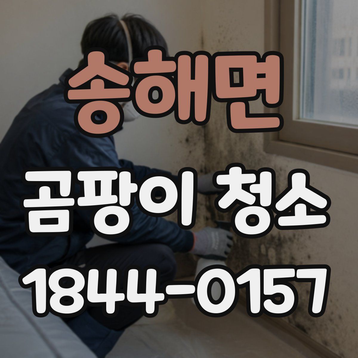 송해면 곰팡이 청소