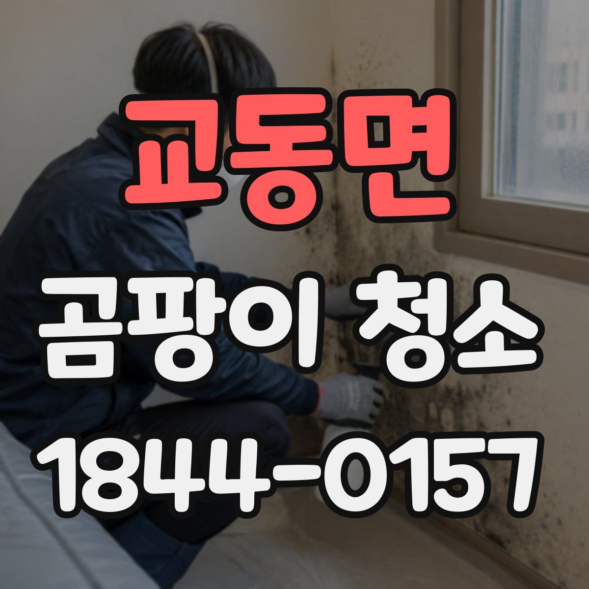 교동면 곰팡이 청소