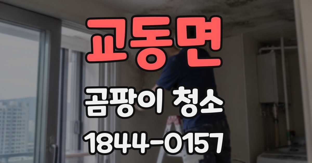 교동면 곰팡이 청소