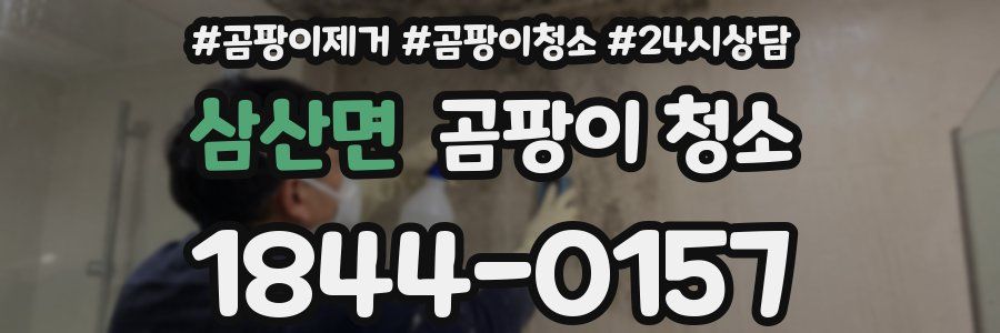 삼산면 곰팡이 청소