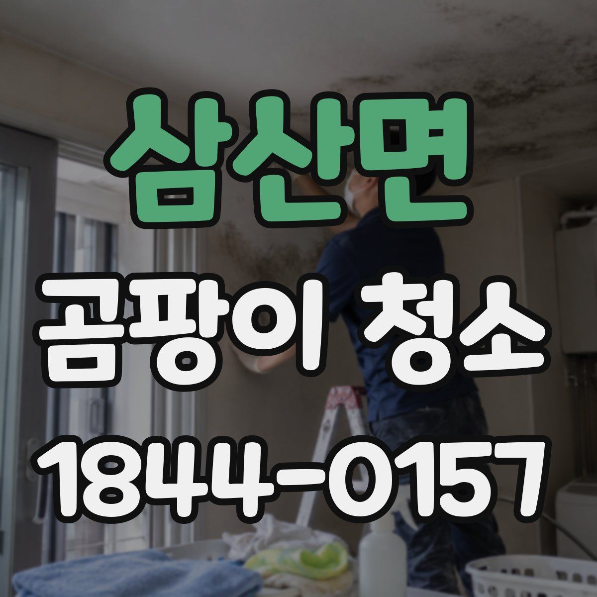 삼산면 곰팡이 청소