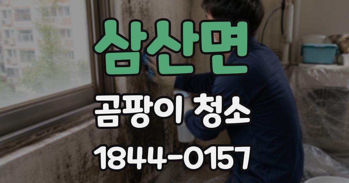 삼산면 곰팡이 청소