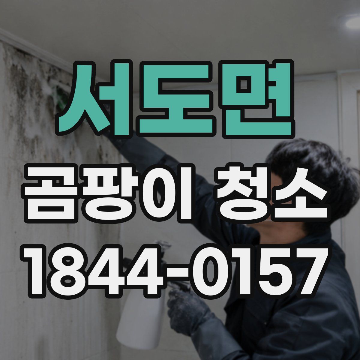 서도면 곰팡이 청소