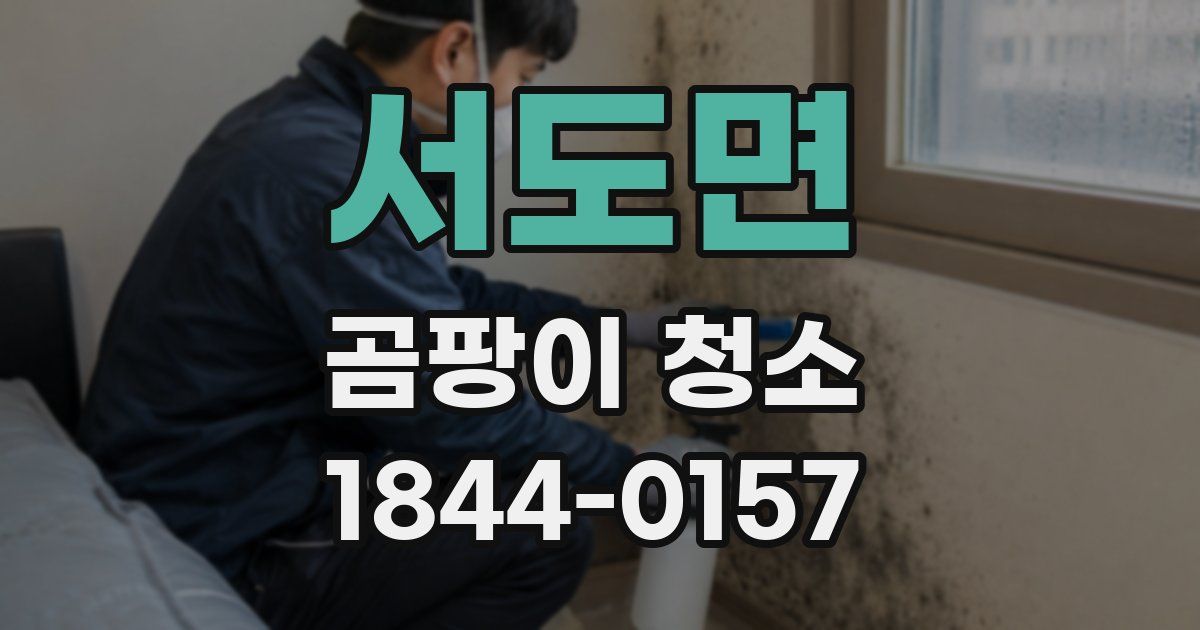 서도면 곰팡이 청소