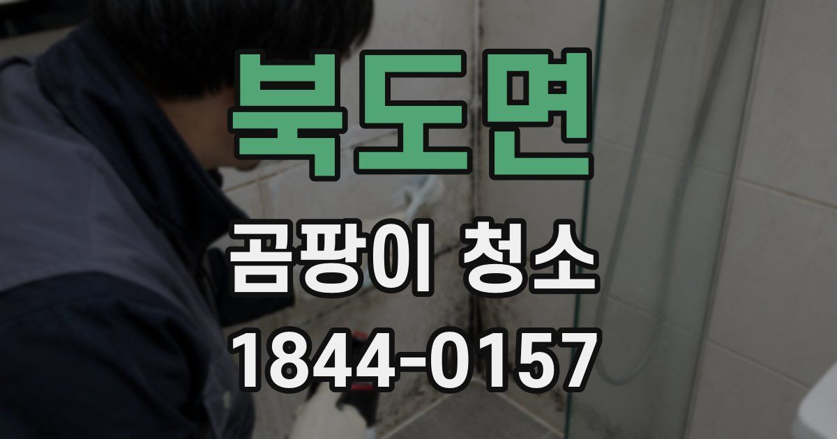 북도면 곰팡이 청소
