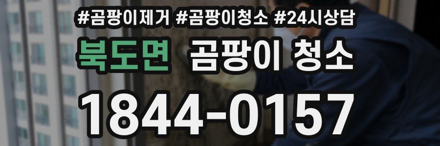 북도면 곰팡이 청소