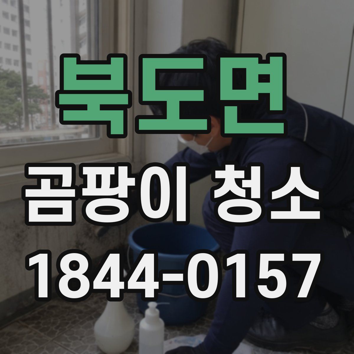 북도면 곰팡이 청소