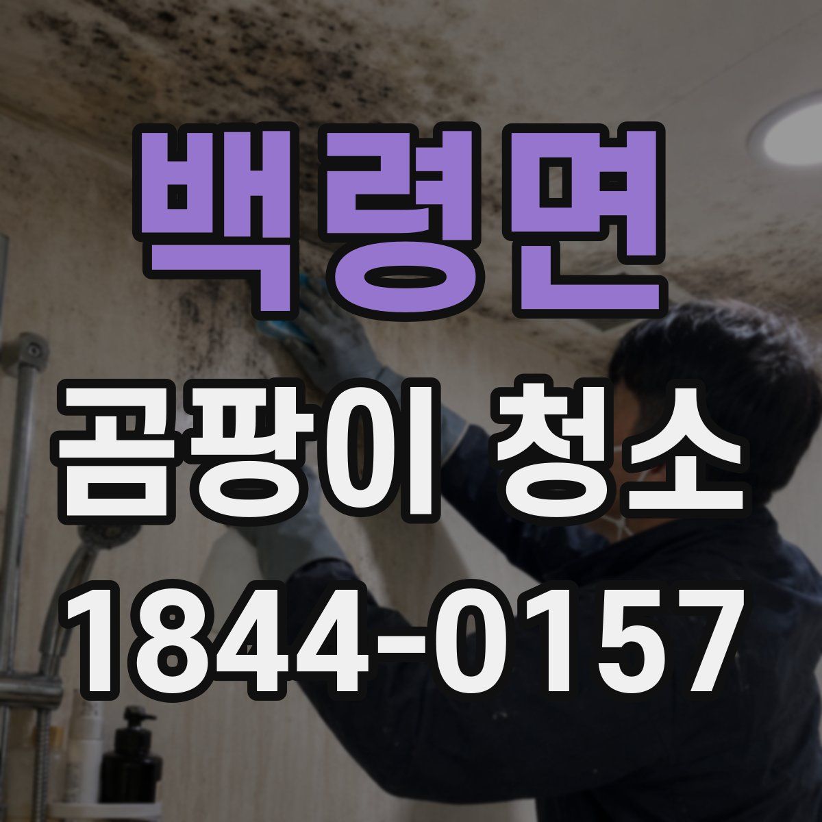 백령면 곰팡이 청소