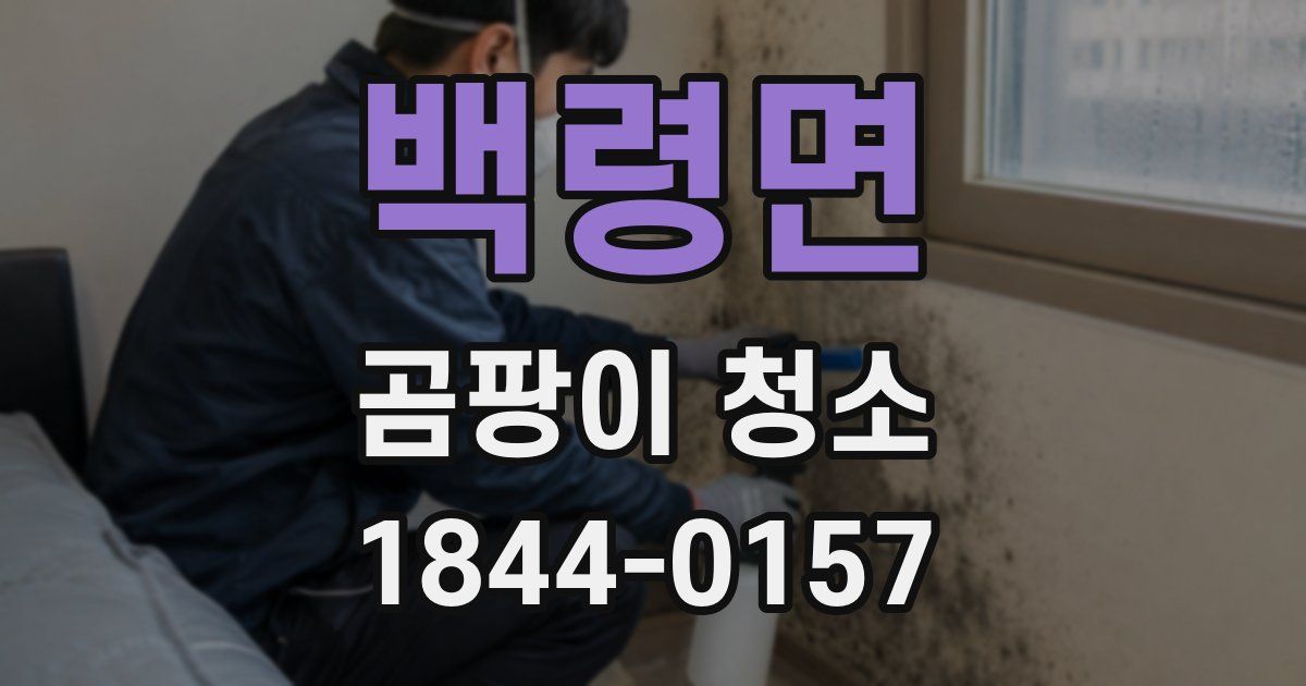 백령면 곰팡이 청소