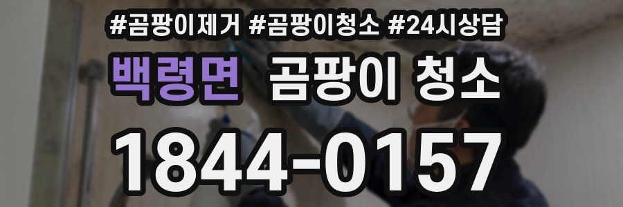 백령면 곰팡이 청소
