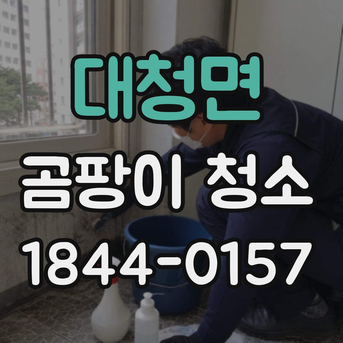 대청면 곰팡이 청소