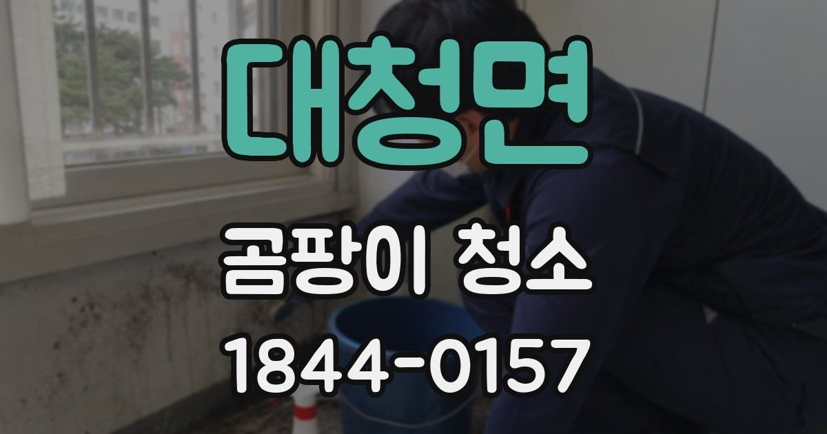 대청면 곰팡이 청소