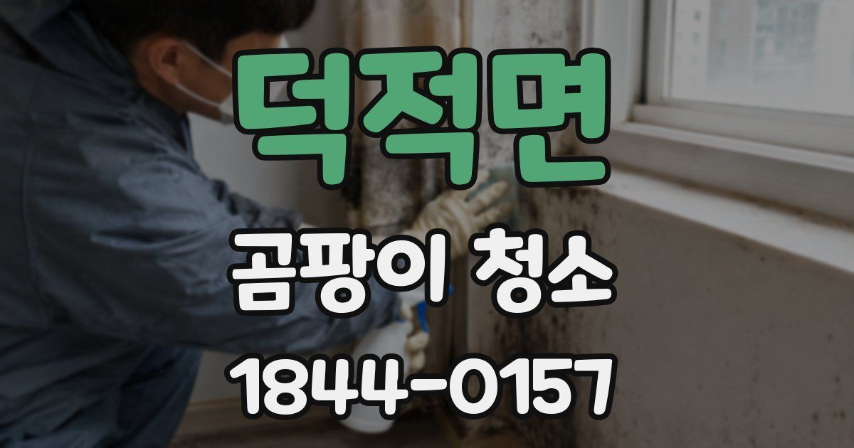 덕적면 곰팡이 청소