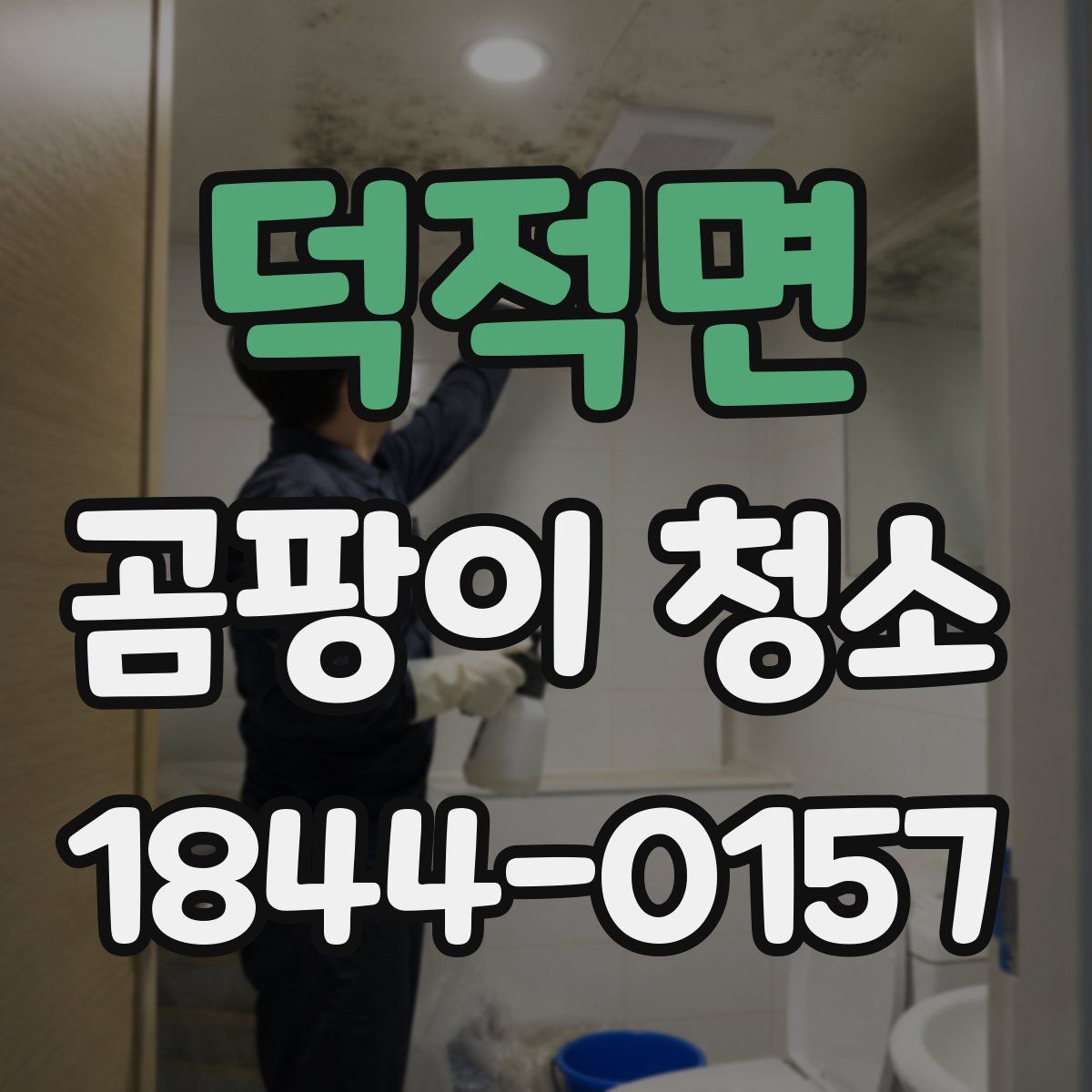 덕적면 곰팡이 청소