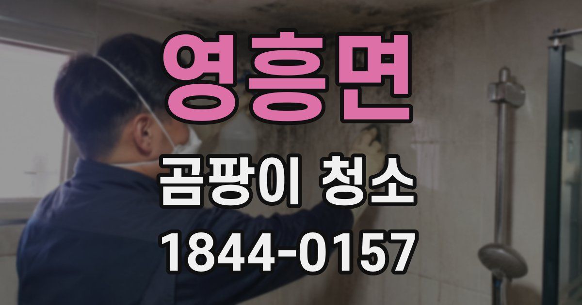 영흥면 곰팡이 청소
