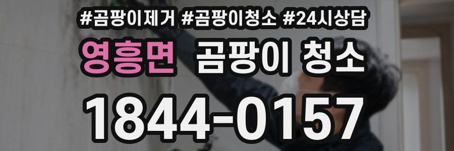영흥면 곰팡이 청소