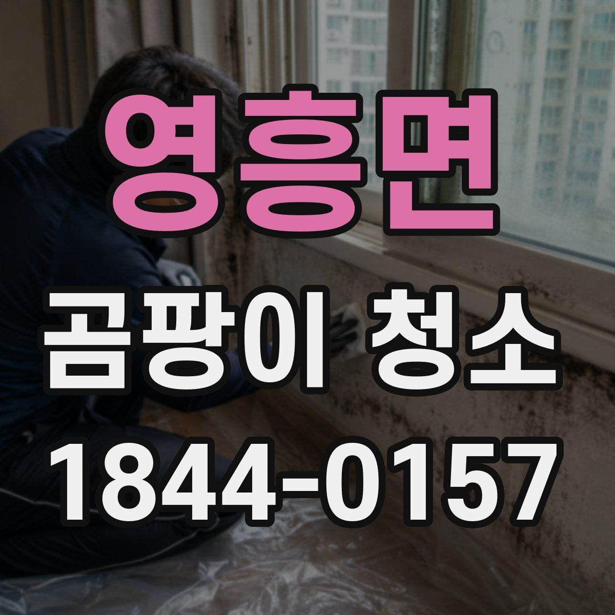 영흥면 곰팡이 청소