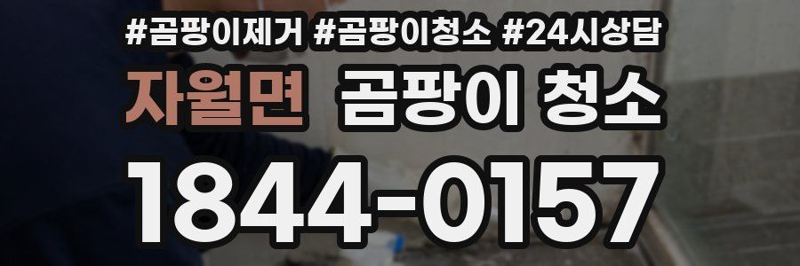자월면 곰팡이 청소