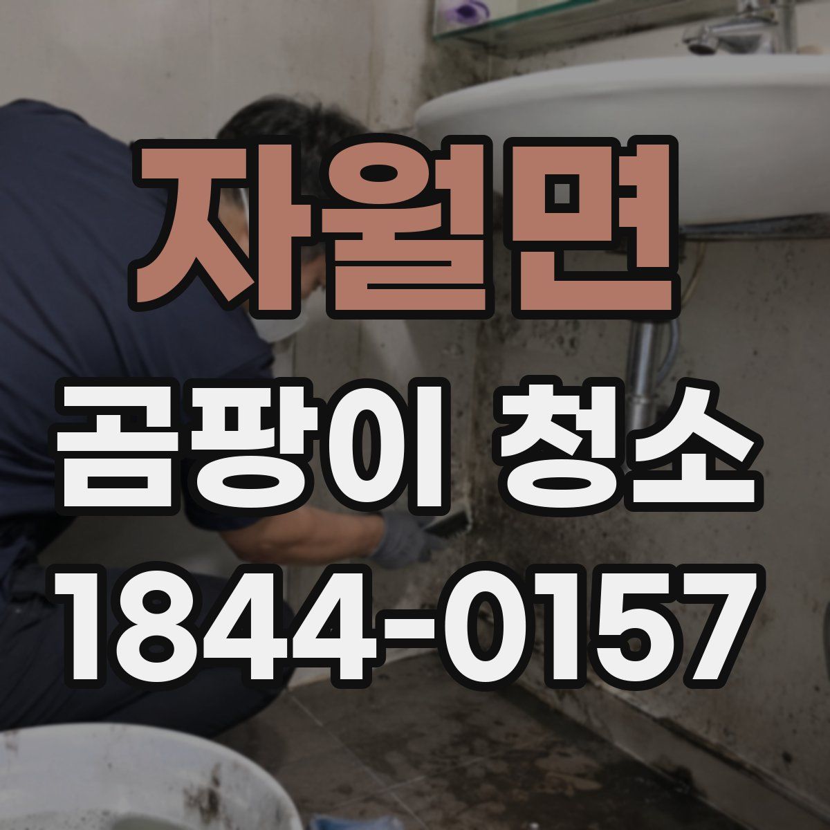 자월면 곰팡이 청소