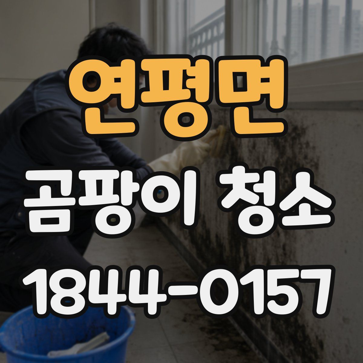 연평면 곰팡이 청소