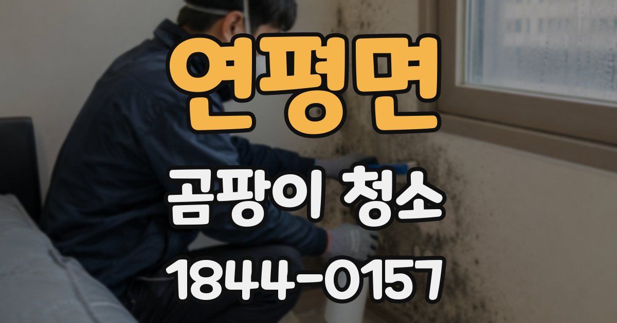 연평면 곰팡이 청소