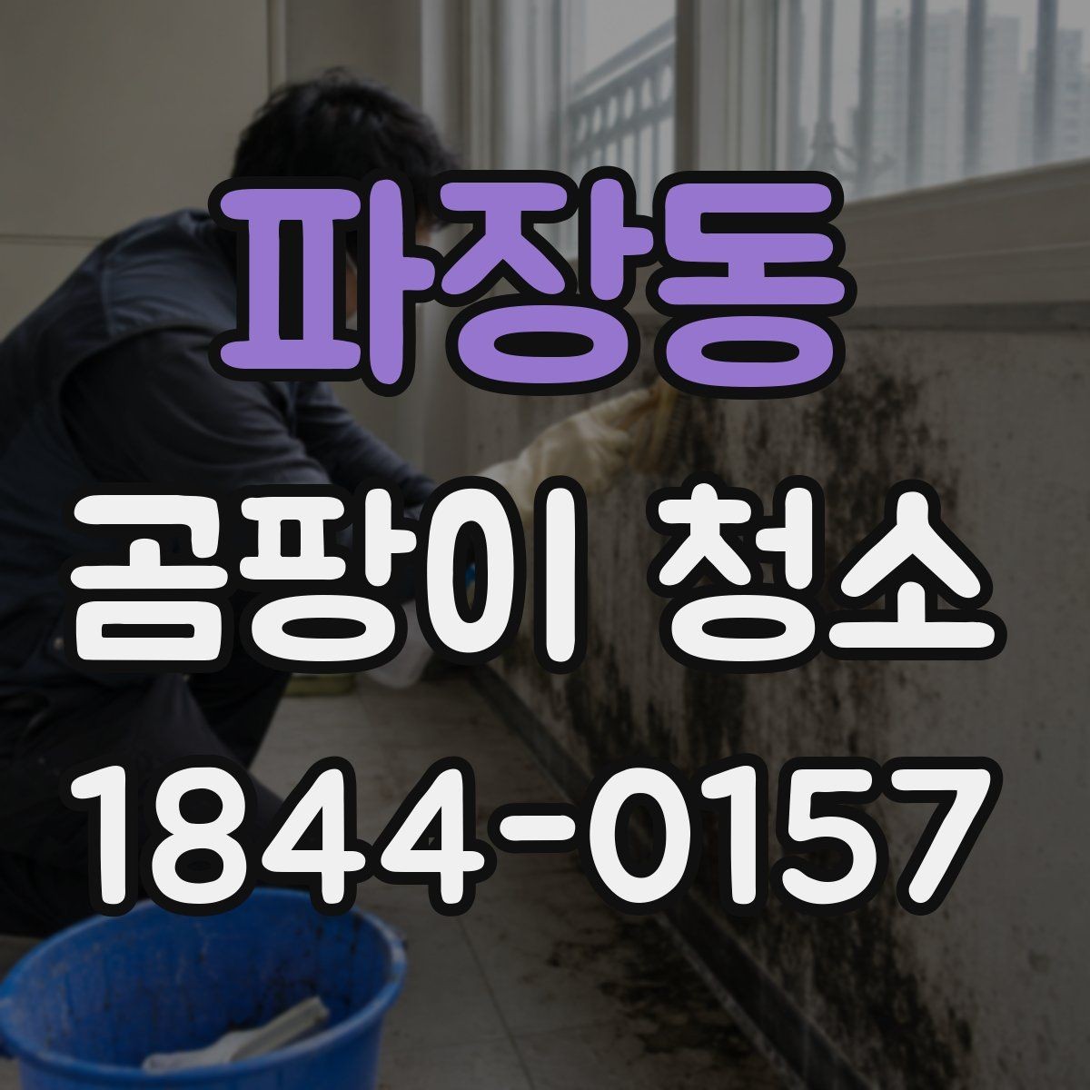 파장동 곰팡이 청소 실내 습도 확인이 재발 방지에 중요한 이유