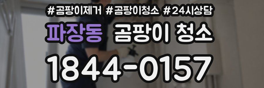 파장동 곰팡이 청소
