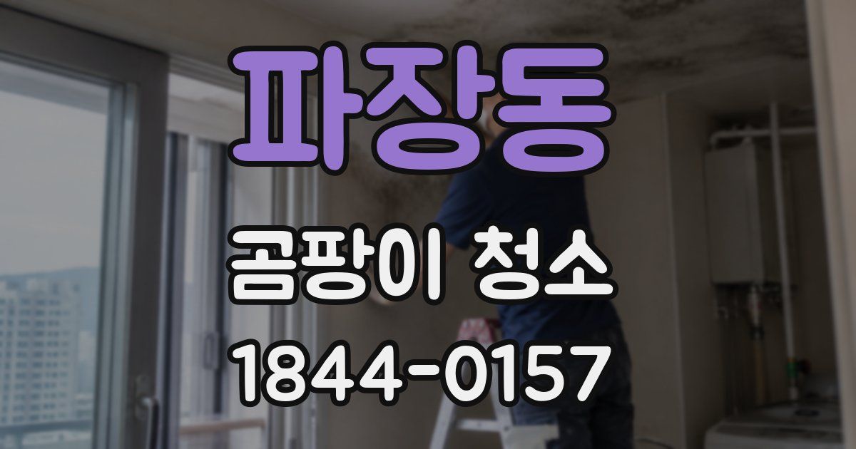파장동 곰팡이 청소