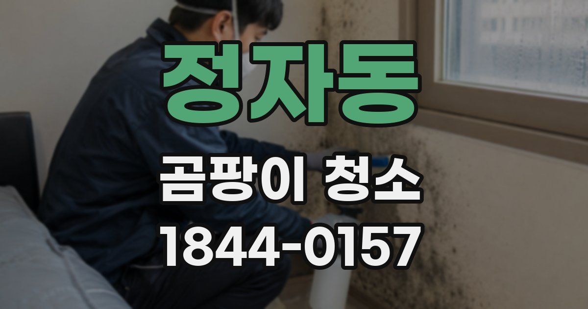 정자동 곰팡이 청소
