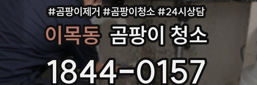 이목동 곰팡이 청소