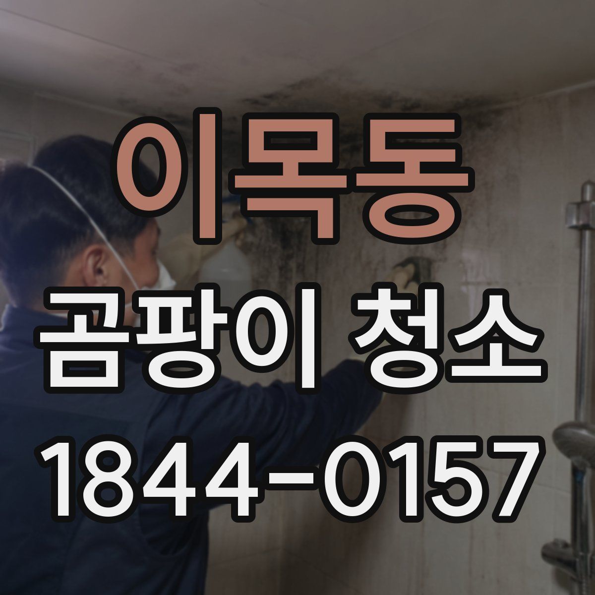 이목동 곰팡이 청소