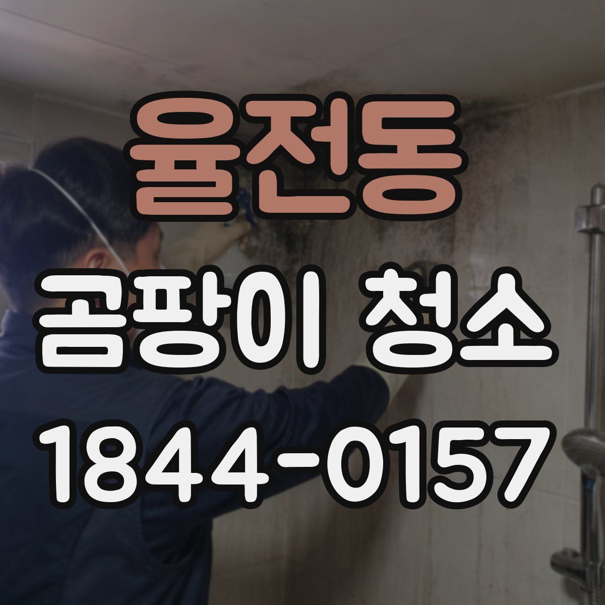 율전동 곰팡이 청소