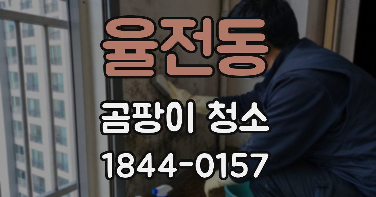 율전동 곰팡이 청소