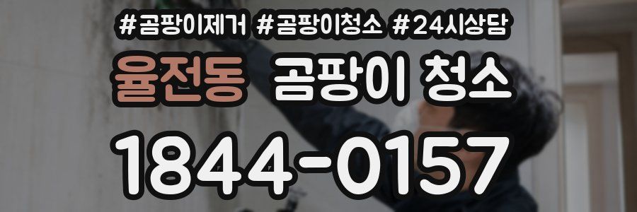 율전동 곰팡이 청소